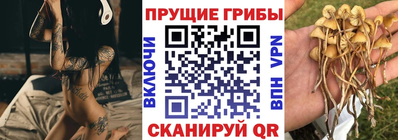 Галлюциногенные грибы Psilocybe  как найти   маркетплейс клад  Перевоз 